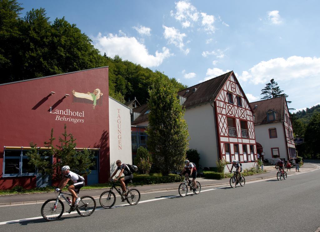 Behringers Freizeit - Und Tagungshotel Goessweinstein Eksteriør billede